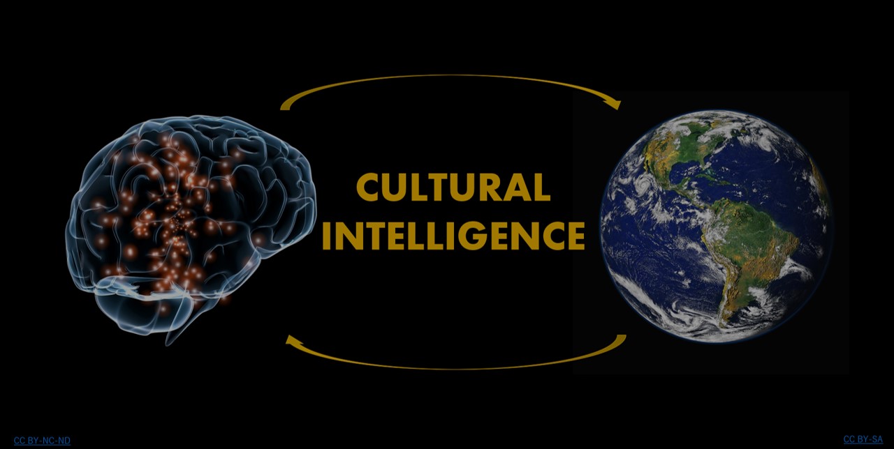 Cultural Intelligence: The Tao to Intelligent Perspective in a Diverse Environment