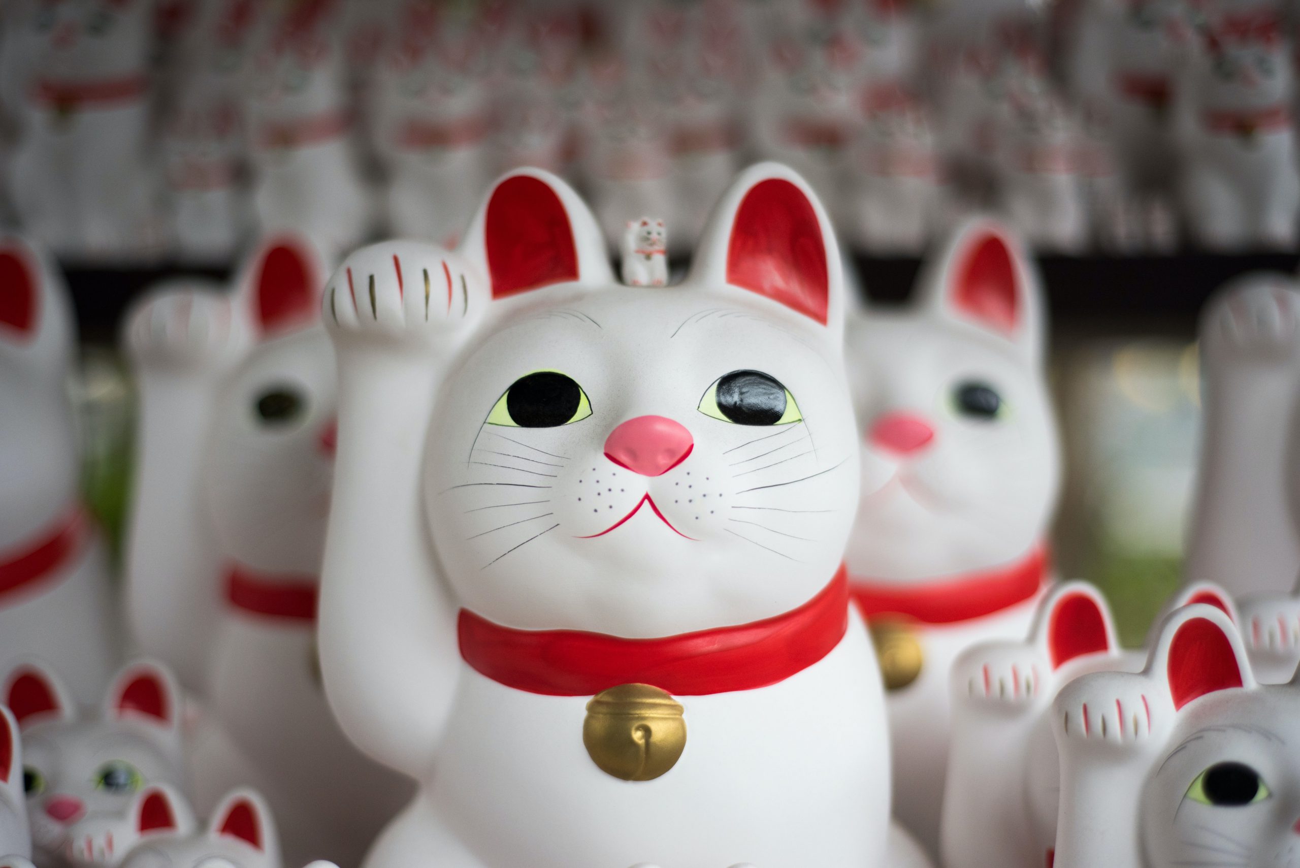 The Worship of Cats in the Echigo Province